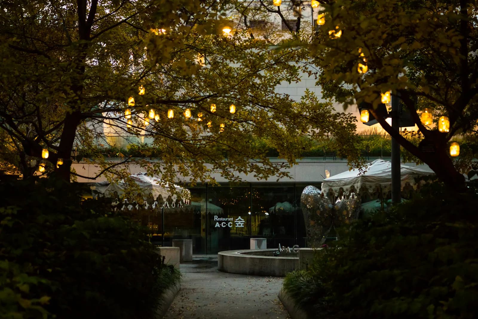 Garden at dusk with string lights in a tree