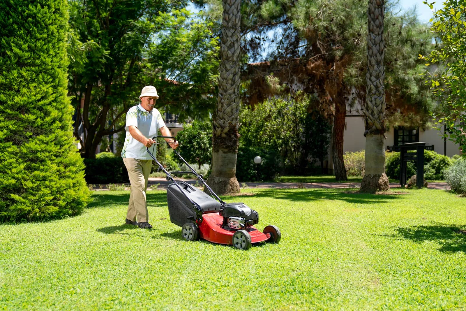 Lawn Care & Maintenance